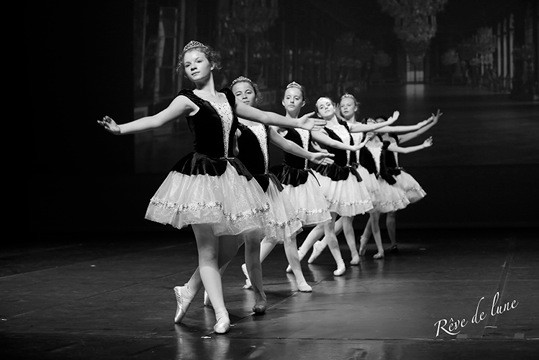 Gala 2017 photo 12