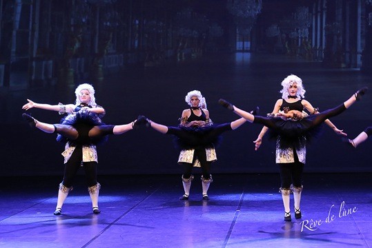 Gala 2017 photo 14