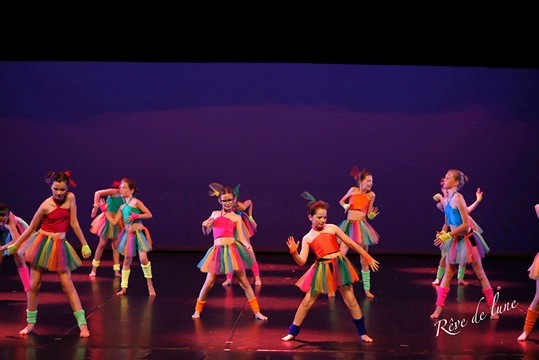 Gala 2017 photo 24
