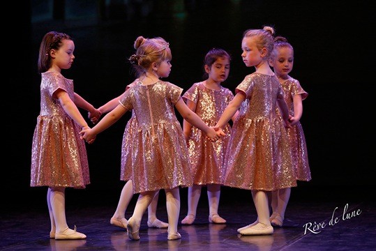 Gala 2017 photo 25