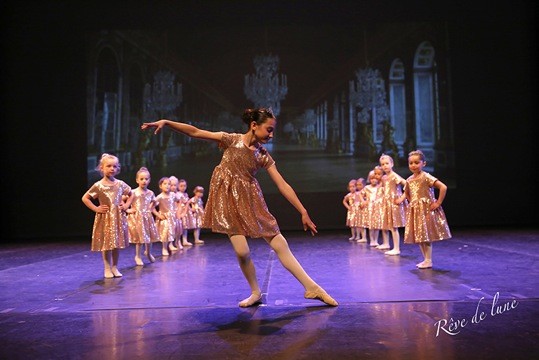Gala 2017 photo 28