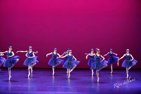 Gala 2017 photo 38