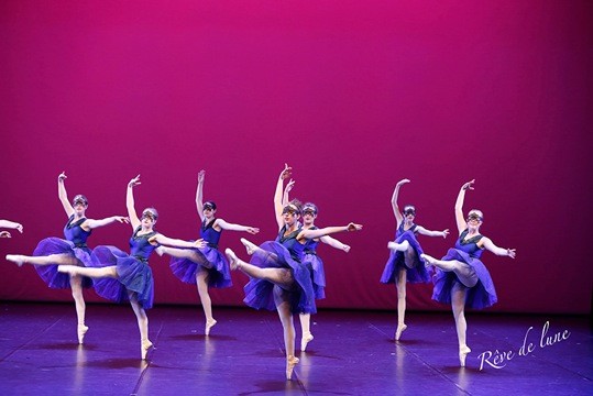 Gala 2017 photo 39