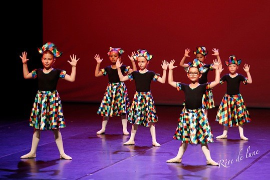 Gala 2017 photo 42