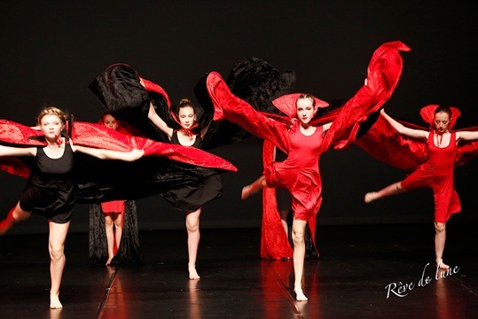 Gala 2017 photo 47