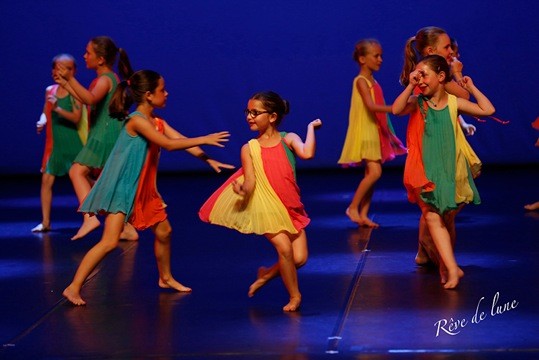 Gala 2017 photo 52