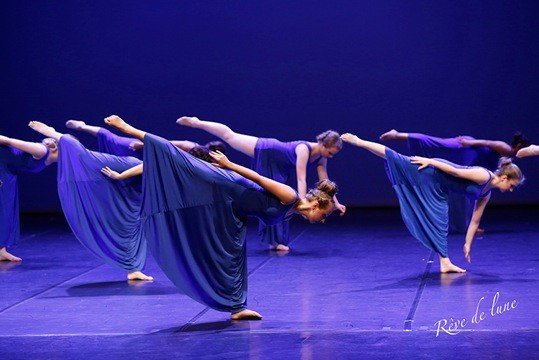 Gala 2017 photo 54