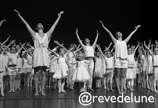 Gala 2015 photo 2