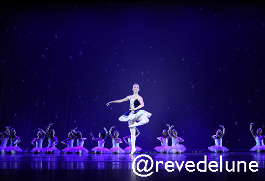 Gala 2015 photo 9