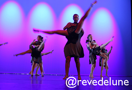 Gala 2015 photo 12