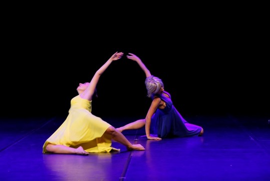 Gala 2017 photo 9