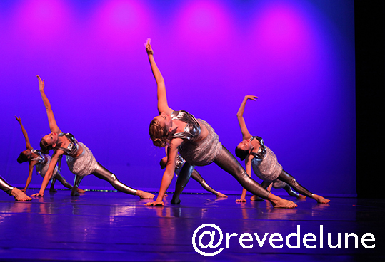 Gala 2015 photo 14