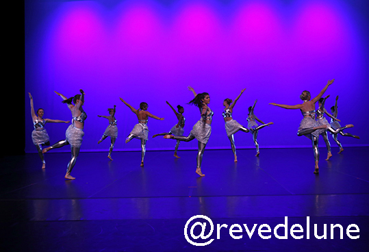 Gala 2015 photo 13