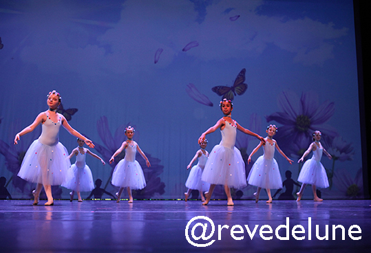 Gala 2015 photo 28