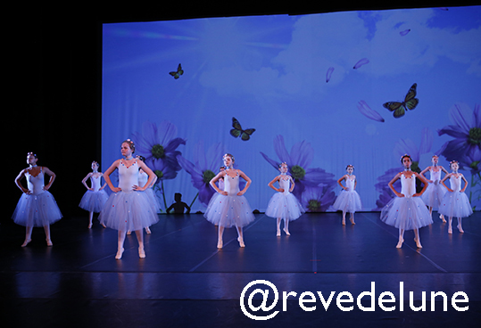 Gala 2015 photo 27