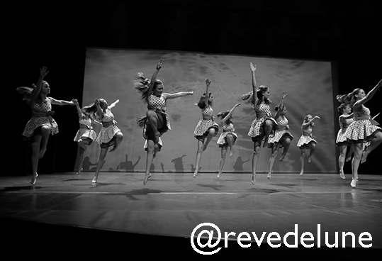 Gala 2015 photo 34