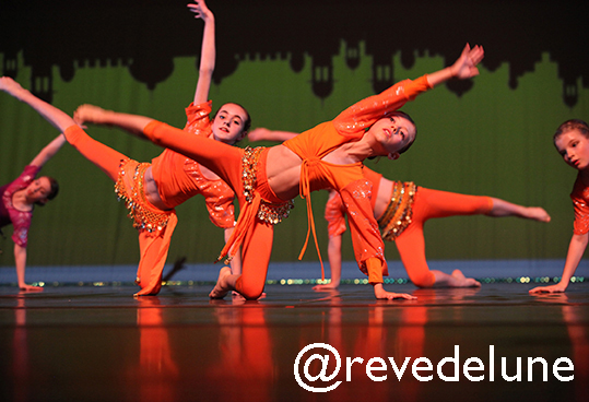 Gala 2015 photo 37