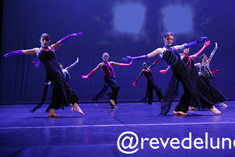 Gala 2015 photo 43