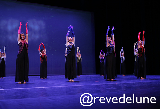 Gala 2015 photo 44