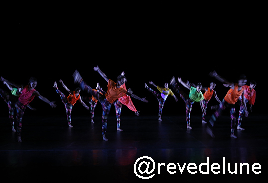 Gala 2015 photo 45
