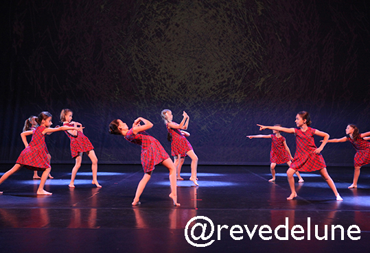 Gala 2015 photo 52