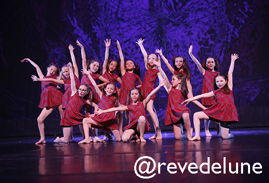 Gala 2015 photo 50