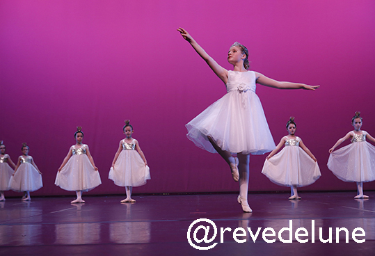 Gala 2015 photo 57