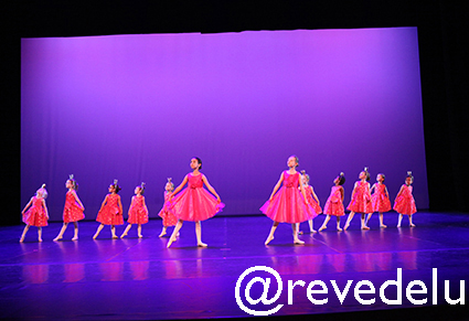 Gala 2015 photo 60