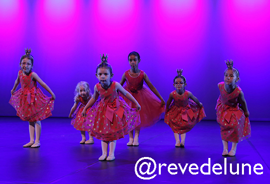 Gala 2015 photo 59