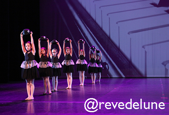 Gala 2015 photo 63