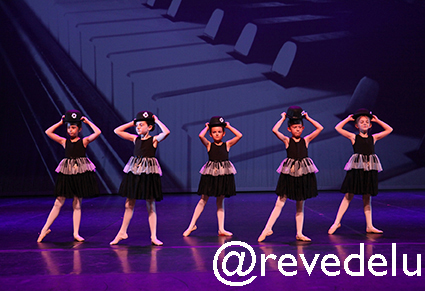 Gala 2015 photo 64