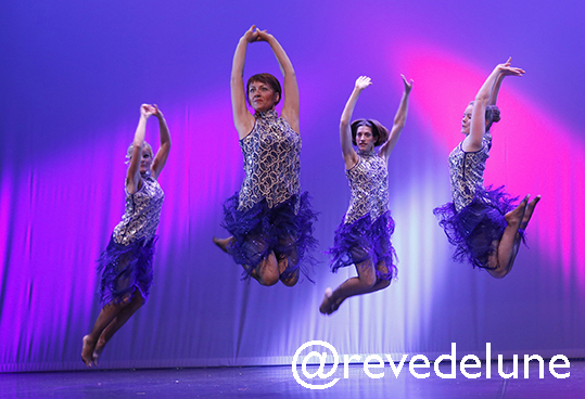 Gala 2015 photo 72