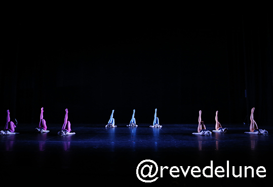Gala 2015 photo 75