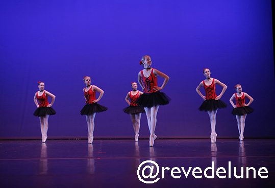 Gala 2015 photo 77