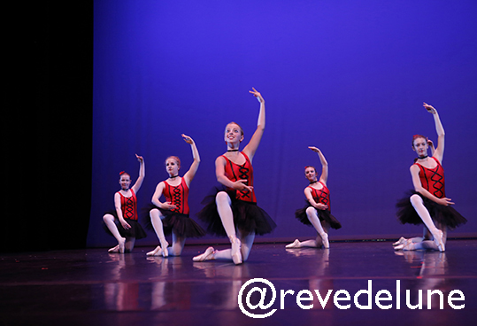Gala 2015 photo 78