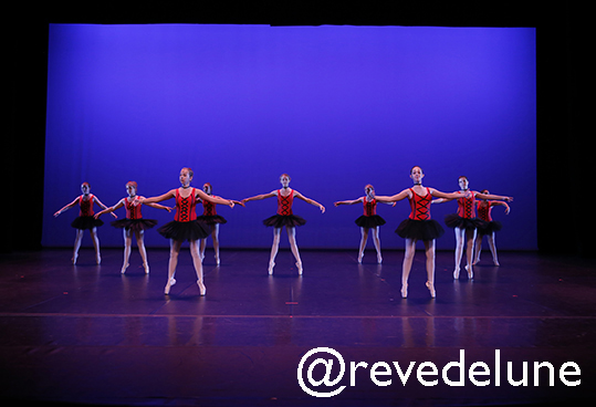Gala 2015 photo 79