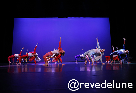 Gala 2015 photo 83