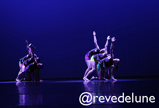 Gala 2015 photo 85
