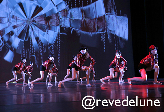 Gala 2015 photo 90