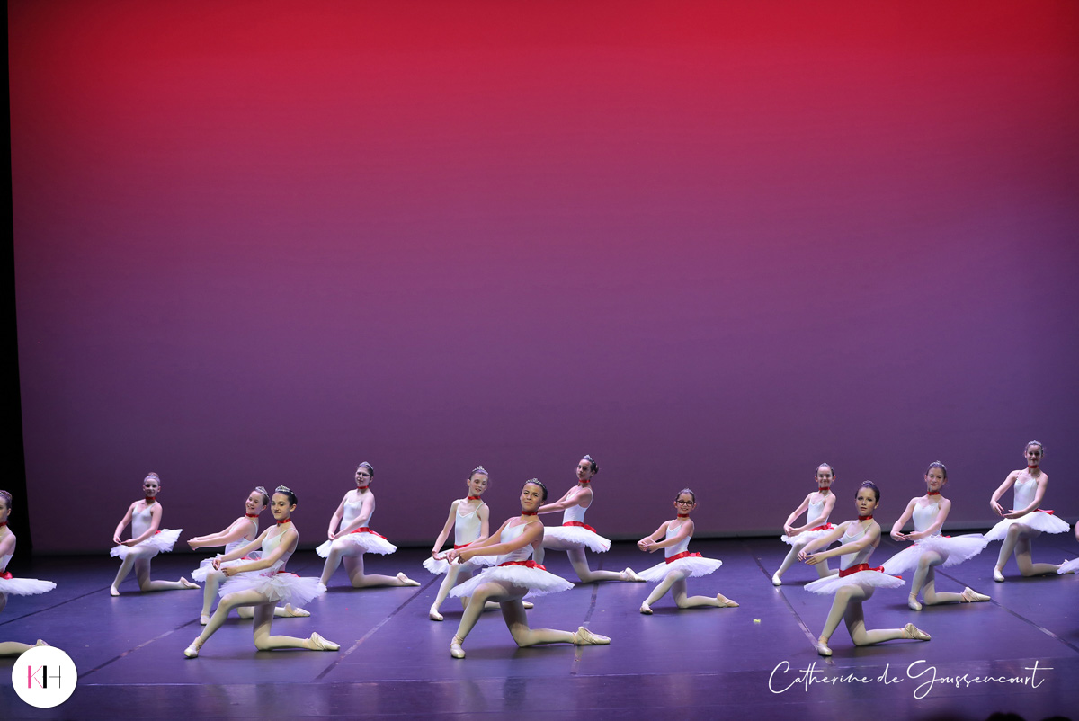 Gala 2019 photo 70